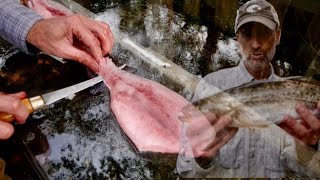 High Yield Speckled Trout Filleting Method