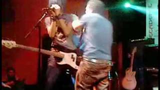 Behind the scenes - Greyhounds