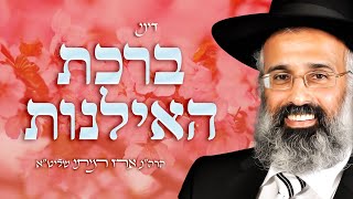 דיני ברכת האילנות - הרה״ג ארז רמתי שליט״א
