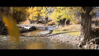 John Denver - Fly Away {HD}
