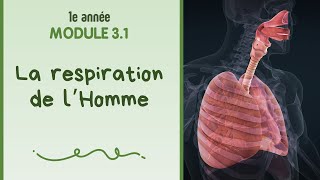 La respiration de l'Homme