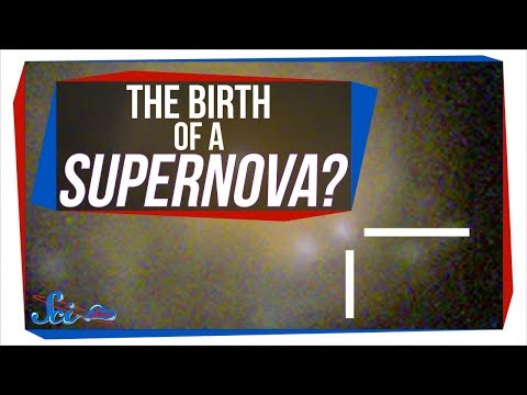 生まれたばかりの超新星を初めて見た？| サイショウニュース (Our First Glimpse of a Newborn Supernova? | SciShow News)