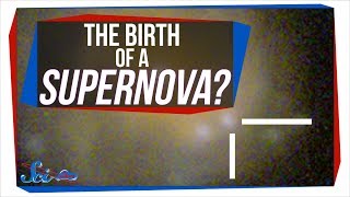 Our First Glimpse of a Newborn Supernova? | SciShow News