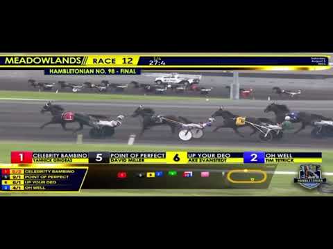 Hambletonian 2023 - Tactical Approach