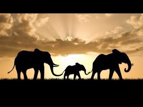 Andrea Ross : The Prayer