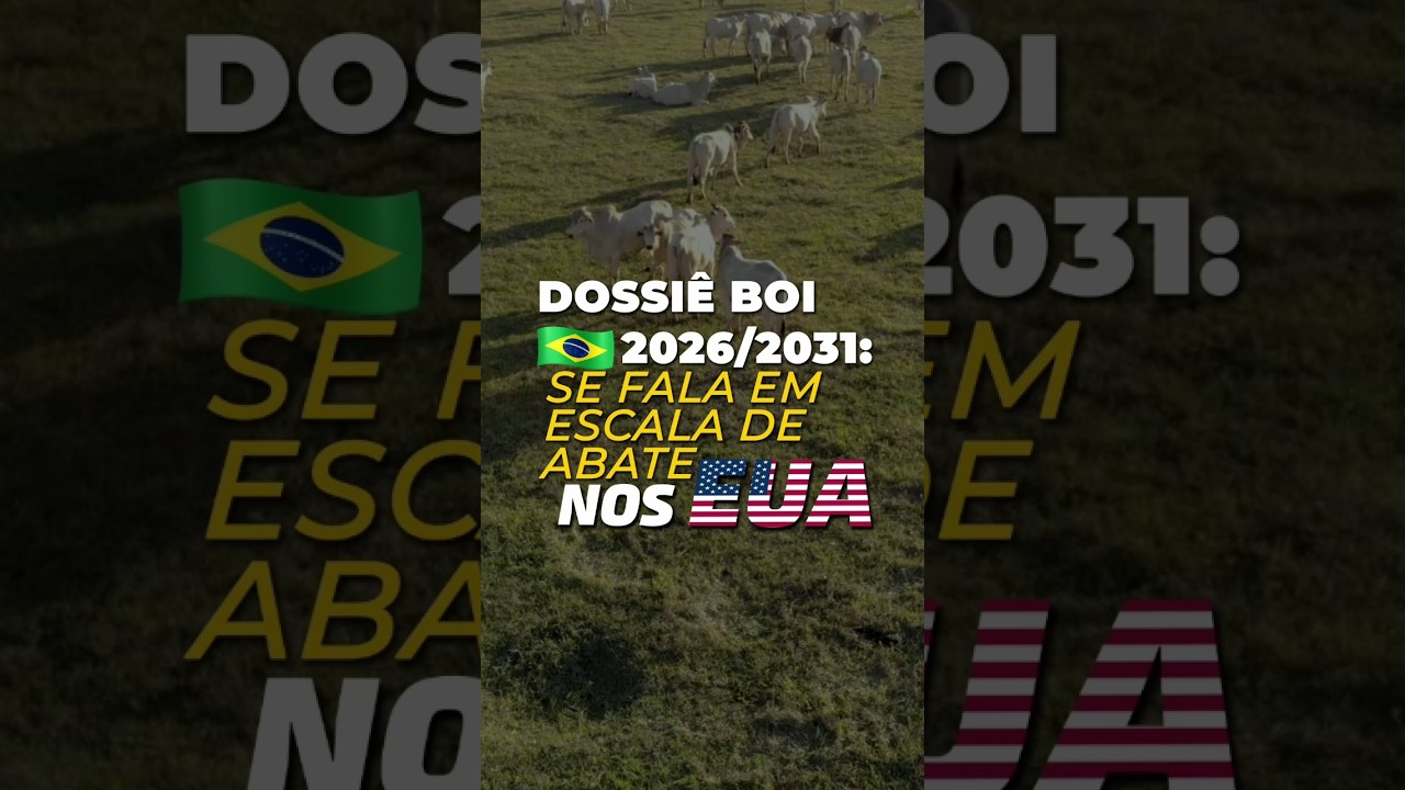 BOI BR 2026/2031: CÊ FALA EM ESCALA DE ABATE NOS EUA?