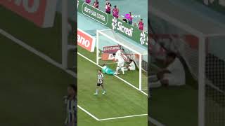 EM CIMA DA LINHA! O GOLEIRO DA CHAPECOENSE SALVOU O GOL DO BOTAFOGO #shorts