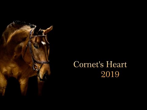 22. CORNET'S HEART - 2019 gelding by Cornet de Semilly x Va-Vite x Randel Z