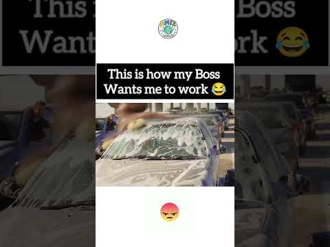 This is how my Boss wants me to work 😂