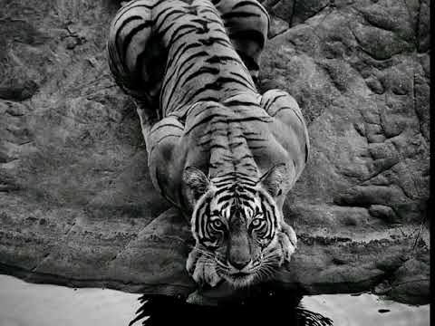 y2mate.com - Elnur Valeh  Astarxan Anar 2020