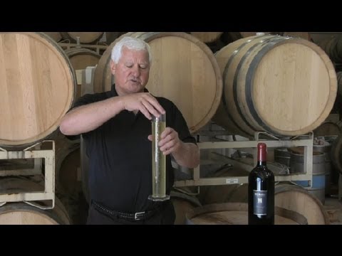 How to Make Stella Rossa Wine : Wine Topics