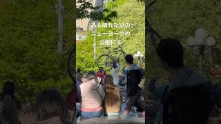 海外 | ある晴れた日のニューヨークの公園にて　#ニューヨーク #海外生活 #アメリカ