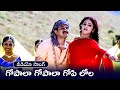 GOPALA GOPALA GOPI LOLA SONG PUTTINTIKI RA CHELLI ARJUN MEENA MADHUMITA TELUGU CINE CAFE