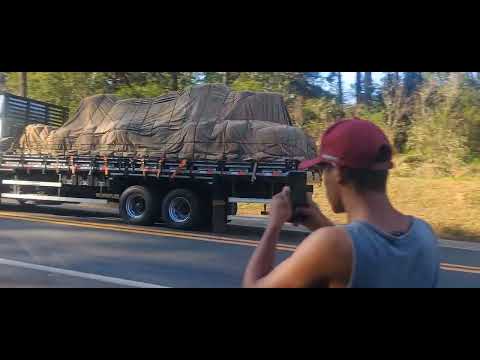 Matheus de capão Bonito São Paulo 📸🚛📸🚚📸 15/10/2025