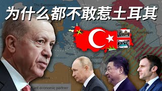 为什么中俄美欧都不敢惹土耳其？揭秘这个中等国家的地缘政治奇迹
