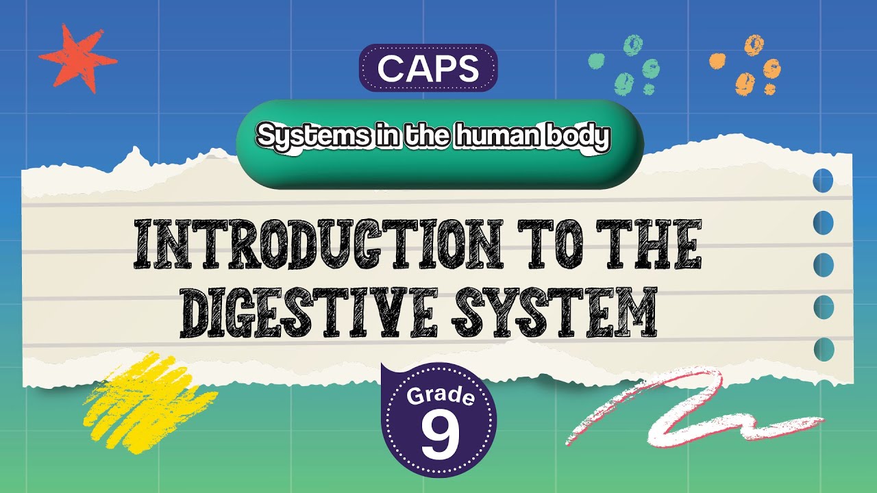 [GRADE 9] Introduction to the digestive system