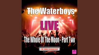 The Earth Only Endures