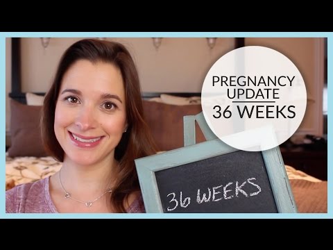Pregnancy Update | 36 Weeks Video