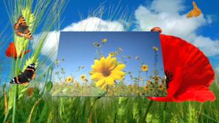 Cuvintele tale Dan Lucian Corb muzică instrumentală