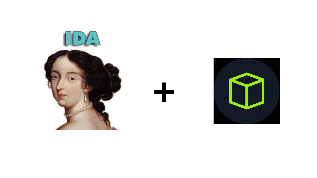 Hack The Box Challenges with IDA PRO, Linux and other tools