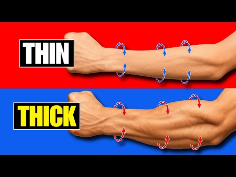 Only 2 EXERCISES to get incredibly large FOREARMS!