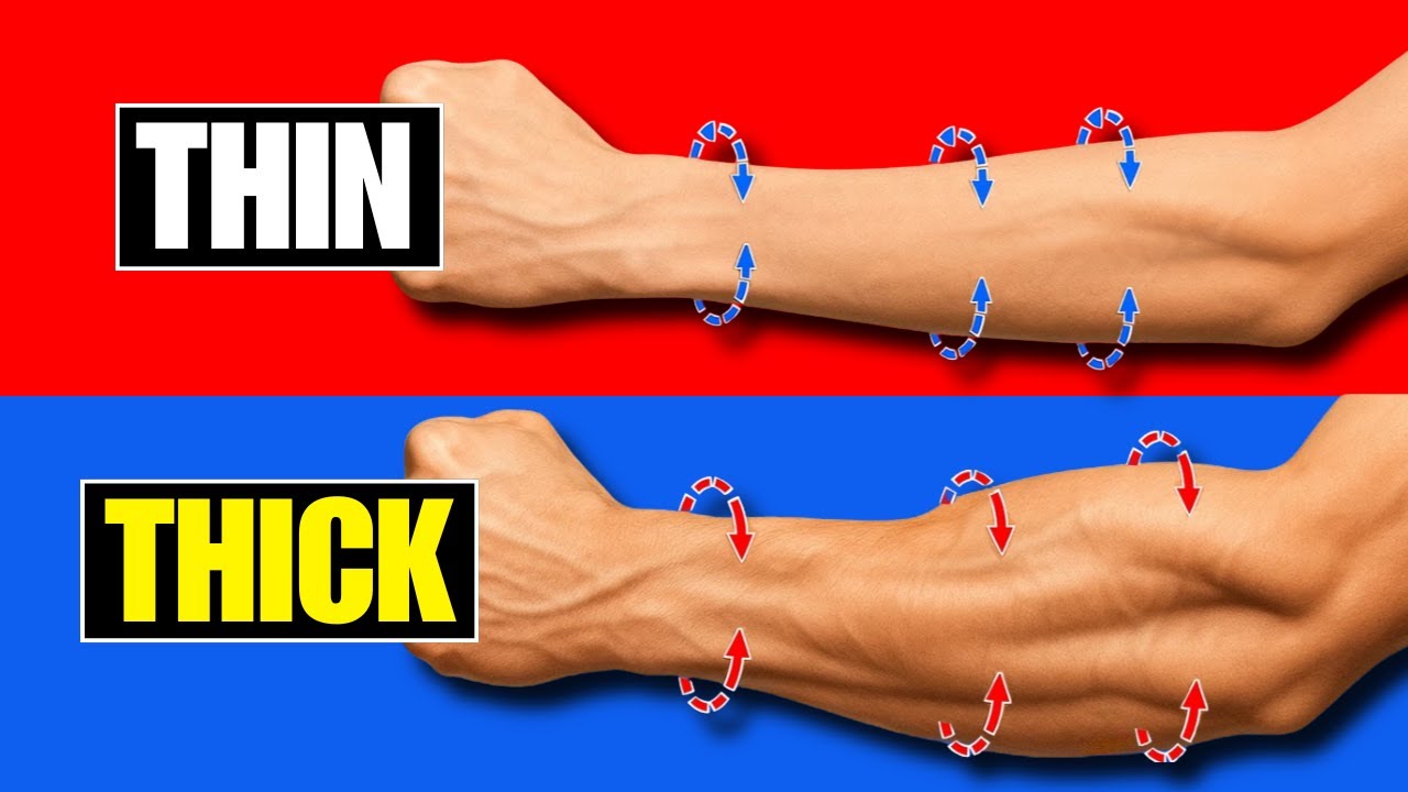 Only 2 EXERCISES to get incredibly large FOREARMS!