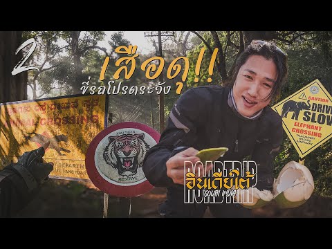 Gaijin ขี่รถในอินเดียระวังเสือดุ SOUTH INDIA EP2