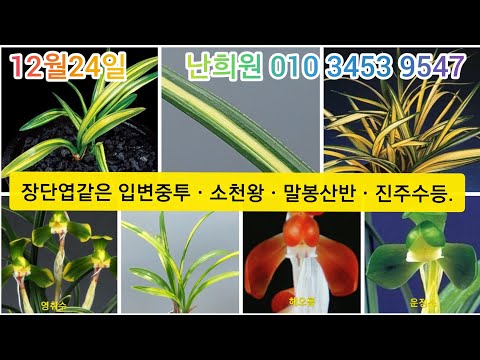 유튜브 썸네일