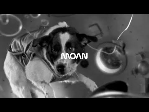 Video thumbnail for Moan (Trentemøller Remix Radio Edit)