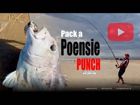 Galjoen Fishing Tips: Catching South Africa's National Fish with Effective  Tackle - Video Summarizer - Glarity