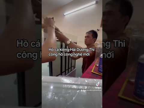 THI CÔNG LẮP ĐẶT HỒ CÁ KIỂNG TẠI NHÀ KHÁCH