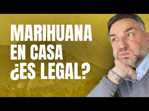 Is it legal to grow marijuana at home? 🌱 The Gag Law in Spain explained