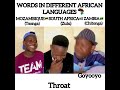 WORDS IN DIFFERENT AFRICAN LANGAUGES Tsonga Vs Zulu Vs Chitonga