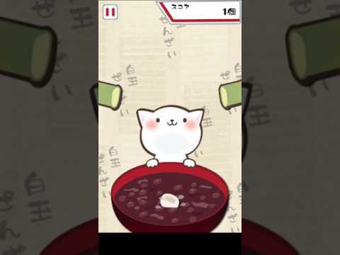 Cat Punch -Shiratama Zenzai- Video