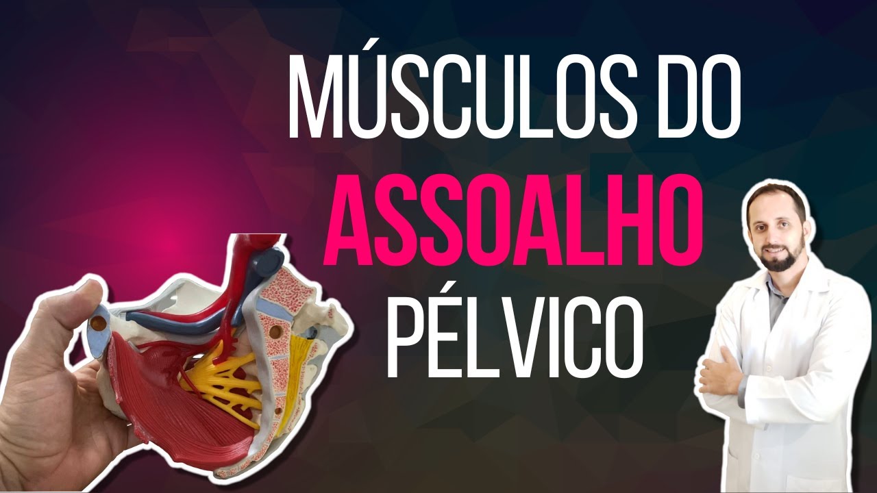 Músculos do Assoalho da Pelve (diafragma pélvico)