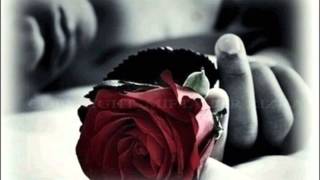 The Triffids  Bury Me Deep In Love