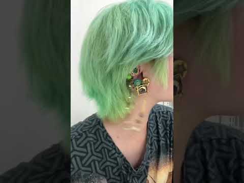 イヤークリップの魅力とは何でしょうか？彼らは危険ですか？  庭園