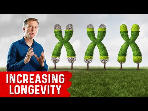 Why Sit Ups Are Bad Exercise to Reduce Belly Fat – Exercise for Belly Fat – Dr Berg