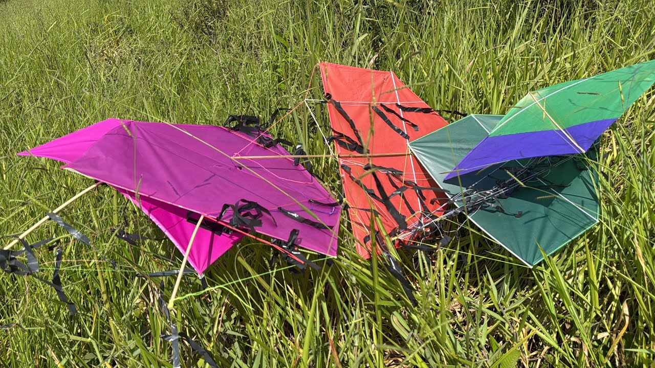 PARAÍSO DA XEPA DE PIPA 