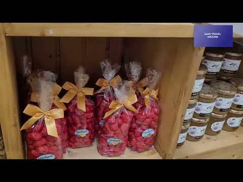 The Château des Adhémar - Montélimar