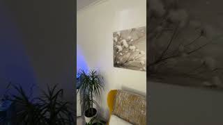 Farebný obraz na dreve - Bavlnka