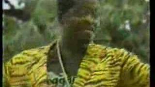 Tiger - No wanga gut