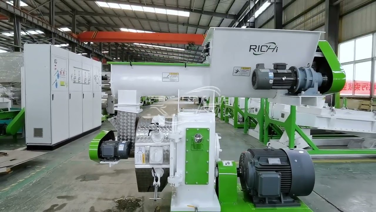 Biomass Fuel Pellet Mill Workshop Real Shot | Working Principle & Equipment Advantages