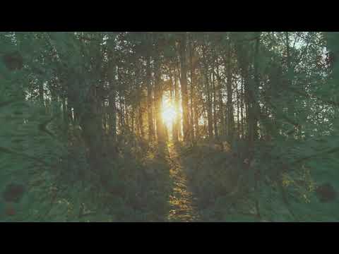 Chamo a Força dos Pajes - Txai Fernando