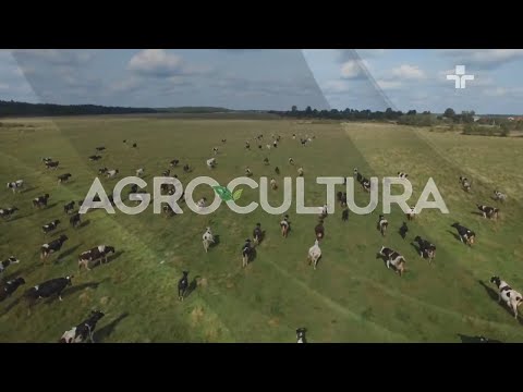 AGROCULTURA AO VIVO - 11/01/2026 - DOMINGO