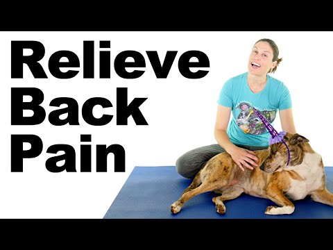 10 Best Knee Pain Strengthening Exercises – Ask Doctor Jo