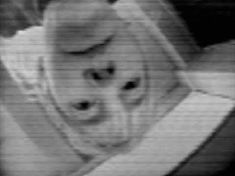 VinylVideo Picture Disks HQ