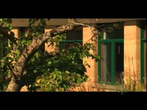 The benefits of mud houses