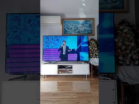 DUET so Stefan Petrusic