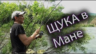 Рыбалка на реке мура красноярский край